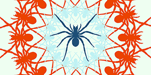 spider_mandala_ptermclean_print