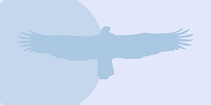 bird_flight_ptermclean_print